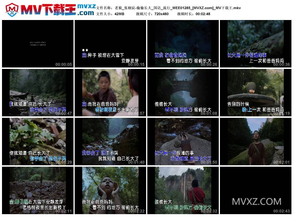 老狼_张栩宸-偷偷长大_国语_流行_MEE01285